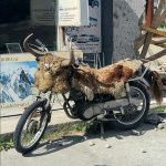 hunza3.jpg hunza3.jpg