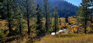 20241008_114035_copy_1600x747.jpg 20241008_114035_copy_1600x747.jpg