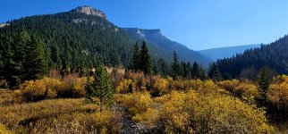 20241008_113839_copy_1600x747.jpg 20241008_113839_copy_1600x747.jpg