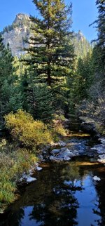 20241008_113445_copy_349x747.jpg 20241008_113445_copy_349x747.jpg