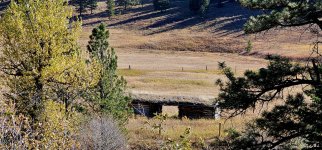 20241008_121902_copy_1600x747.jpg 20241008_121902_copy_1600x747.jpg