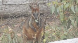 Video Snapshot00078.jpg Video Snapshot00078.jpg