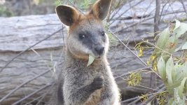 Video Snapshot00079.jpg Video Snapshot00079.jpg