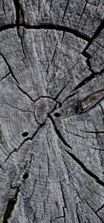 20241008_190657_copy_349x747.jpg 20241008_190657_copy_349x747.jpg