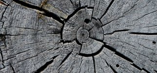 20241008_190642_copy_1600x747.jpg 20241008_190642_copy_1600x747.jpg