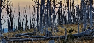 20241009_073640_copy_1600x747.jpg 20241009_073640_copy_1600x747.jpg