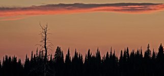 20241008_185947_copy_1600x747.jpg 20241008_185947_copy_1600x747.jpg