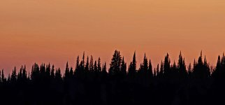 20241008_191318_copy_1600x747.jpg 20241008_191318_copy_1600x747.jpg