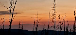 20241009_070418_copy_1600x747.jpg 20241009_070418_copy_1600x747.jpg