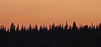 20241008_190820_copy_1600x747.jpg 20241008_190820_copy_1600x747.jpg