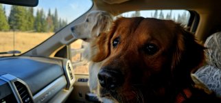 20241009_090612_copy_1600x747.jpg 20241009_090612_copy_1600x747.jpg