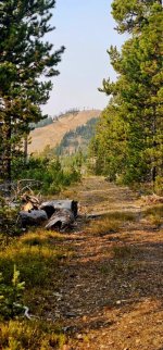 20241009_100338_copy_349x747.jpg 20241009_100338_copy_349x747.jpg