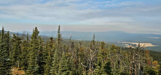 20241009_104315_copy_1600x747.jpg 20241009_104315_copy_1600x747.jpg