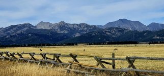 20241009_160253_copy_1600x747.jpg 20241009_160253_copy_1600x747.jpg