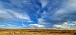 20241009_180514_copy_1600x747.jpg 20241009_180514_copy_1600x747.jpg