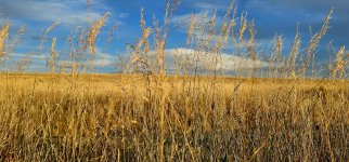 20241009_181231_copy_1600x747.jpg 20241009_181231_copy_1600x747.jpg