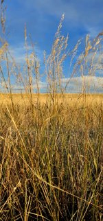 20241009_181243_copy_349x747.jpg 20241009_181243_copy_349x747.jpg