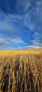 20241009_180852_copy_349x747.jpg 20241009_180852_copy_349x747.jpg