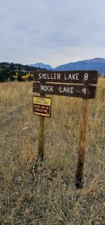 20241010_093125_copy_349x747.jpg 20241010_093125_copy_349x747.jpg