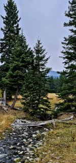 20241010_093817_copy_349x747.jpg 20241010_093817_copy_349x747.jpg