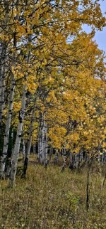 20241010_094040_copy_349x747.jpg 20241010_094040_copy_349x747.jpg