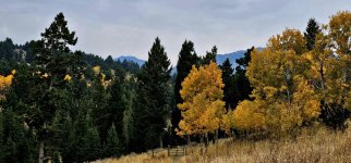 20241010_093409_copy_1600x747.jpg 20241010_093409_copy_1600x747.jpg