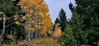 20241010_094443_copy_1600x747.jpg 20241010_094443_copy_1600x747.jpg