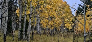 20241010_094044_copy_1600x747.jpg 20241010_094044_copy_1600x747.jpg