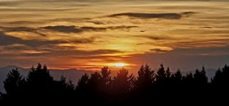 20241009_183609_copy_1600x747.jpg 20241009_183609_copy_1600x747.jpg