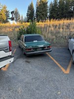 Picture 1.jpg Picture 1.jpg