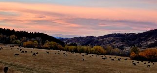 20241021_074420_copy_1200x560.jpg 20241021_074420_copy_1200x560.jpg