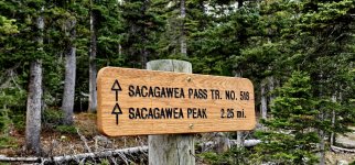 20241021_110813_copy_1200x560.jpg 20241021_110813_copy_1200x560.jpg