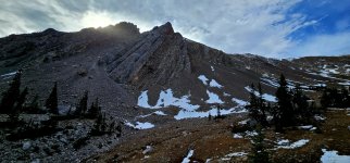 20241021_113336_copy_1200x560.jpg 20241021_113336_copy_1200x560.jpg