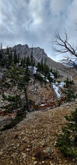 20241021_112719_copy_1200x2570.jpg 20241021_112719_copy_1200x2570.jpg