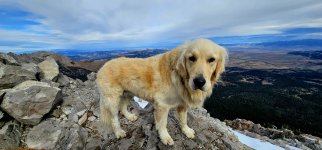 20241021_130254_copy_1200x560.jpg 20241021_130254_copy_1200x560.jpg