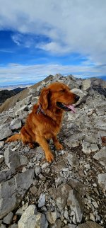 20241021_130040_copy_1200x2570.jpg 20241021_130040_copy_1200x2570.jpg