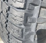 IMG_1779.jpg IMG_1779.jpg