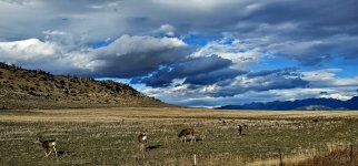 20241021_160839_copy_1200x560.jpg 20241021_160839_copy_1200x560.jpg