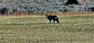 20241022_083832_copy_1200x560.jpg 20241022_083832_copy_1200x560.jpg