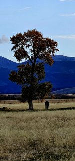 20241022_085336_copy_1200x2570.jpg 20241022_085336_copy_1200x2570.jpg