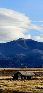 20241022_091442_copy_1200x2570.jpg 20241022_091442_copy_1200x2570.jpg