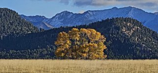 20241022_092436_copy_1200x560.jpg 20241022_092436_copy_1200x560.jpg