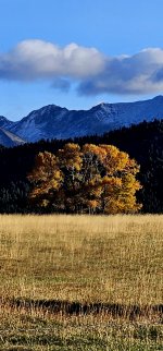 20241022_092444_copy_1200x2570.jpg 20241022_092444_copy_1200x2570.jpg