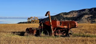 20241022_092556_copy_1200x560.jpg 20241022_092556_copy_1200x560.jpg