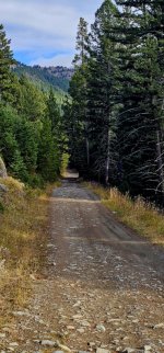 20241022_095649_copy_349x747.jpg 20241022_095649_copy_349x747.jpg