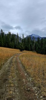 20241022_102704_copy_349x747.jpg 20241022_102704_copy_349x747.jpg