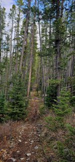 20241022_104356_copy_349x747.jpg 20241022_104356_copy_349x747.jpg