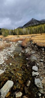 20241022_114527_copy_349x747.jpg 20241022_114527_copy_349x747.jpg