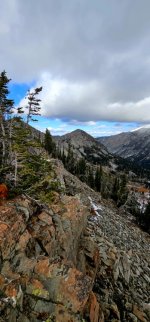 20241022_123556_copy_349x747.jpg 20241022_123556_copy_349x747.jpg