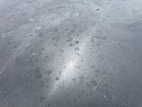 444D02D8-72D6-4CB5-9E2F-E41E4EE10868.jpeg 444D02D8-72D6-4CB5-9E2F-E41E4EE10868.jpeg